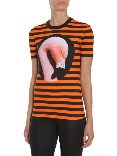 Shop Givenchy Flamingo Print T In Multi