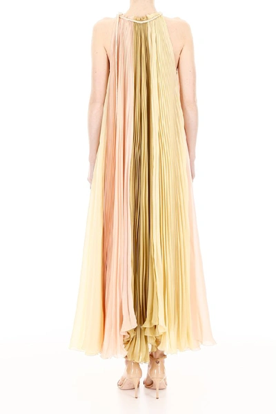 Shop Alberta Ferretti Pleated Maxi Dress In Multi