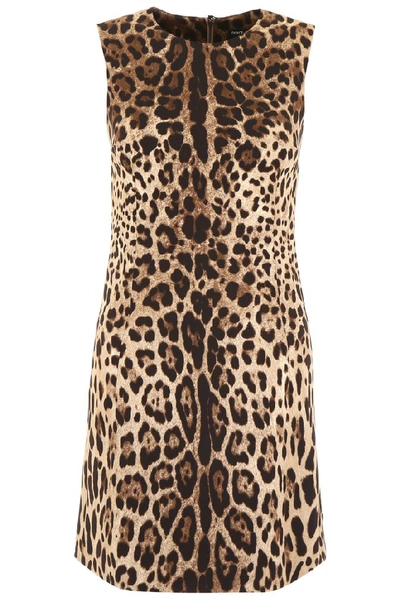 Shop Dolce & Gabbana Leopard Print Mini Dress In Multi