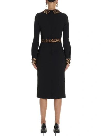 Shop Dolce & Gabbana Leopard Print Trim Midi Dress In Black