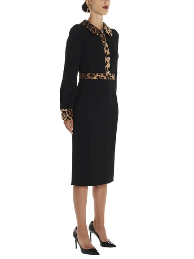 Shop Dolce & Gabbana Leopard Print Trim Midi Dress In Black