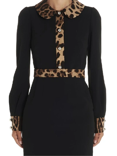 Shop Dolce & Gabbana Leopard Print Trim Midi Dress In Black