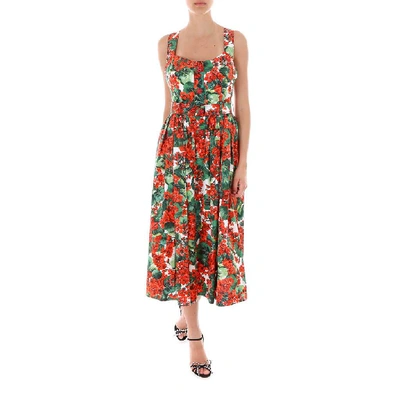 Shop Dolce & Gabbana Floral Printed Sleeveless Midi Dress In Multi