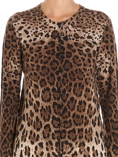 Shop Dolce & Gabbana Animalier Print Cardigan In Multicolor