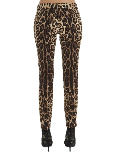 Shop Dolce & Gabbana Leopard Print Skinny In Multi