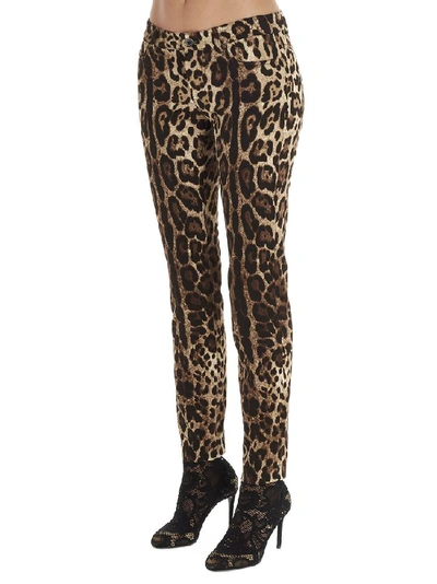 Shop Dolce & Gabbana Leopard Print Skinny In Multi