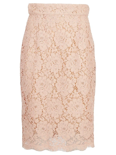 Shop Dolce & Gabbana Lace Pencil Skirt In Pink