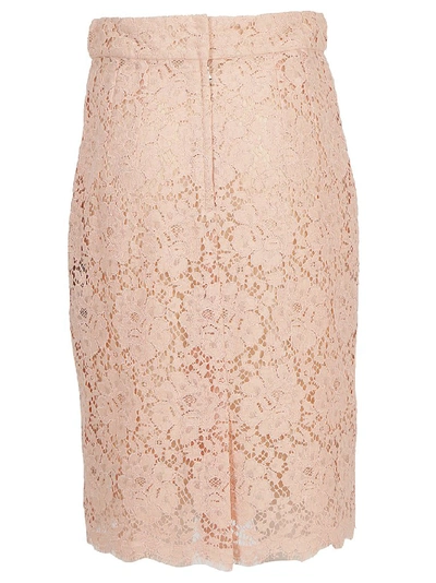 Shop Dolce & Gabbana Lace Pencil Skirt In Pink