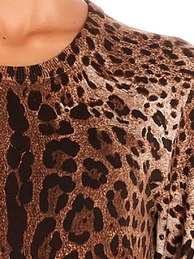 Shop Dolce & Gabbana Animalier Printed Sweater In Multi
