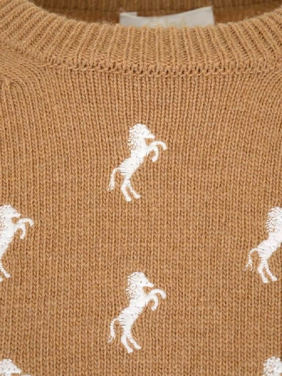 Shop Chloé Horse Embroidered Knitted Top In Brown