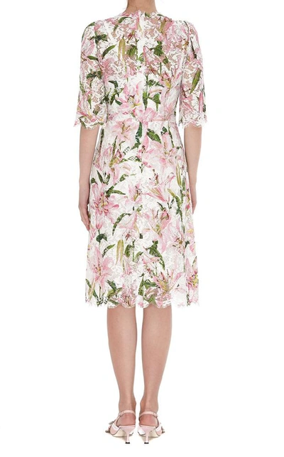 Shop Dolce & Gabbana Floral Lace Effect Dress In Multi