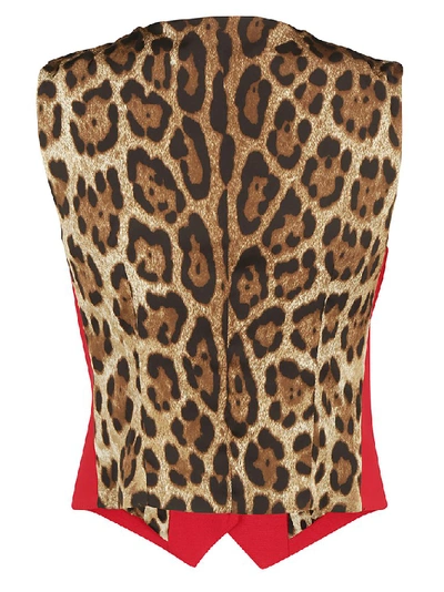 Shop Dolce & Gabbana Contrast Leopard Print Vest In Multi