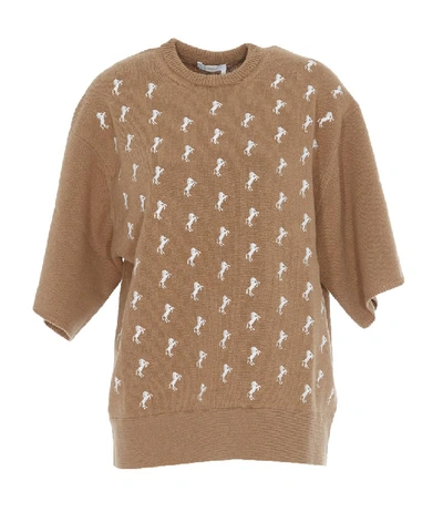 Shop Chloé Horse Embroidered Pullover In Brown