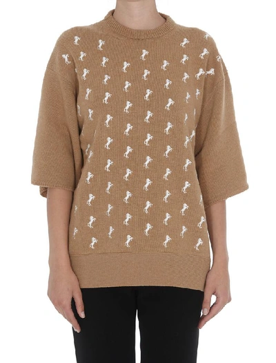 Shop Chloé Horse Embroidered Pullover In Brown