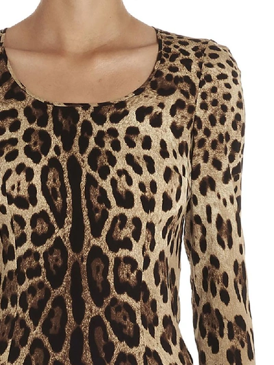 Shop Dolce & Gabbana Leopard Print Crewneck Blouse In Multi