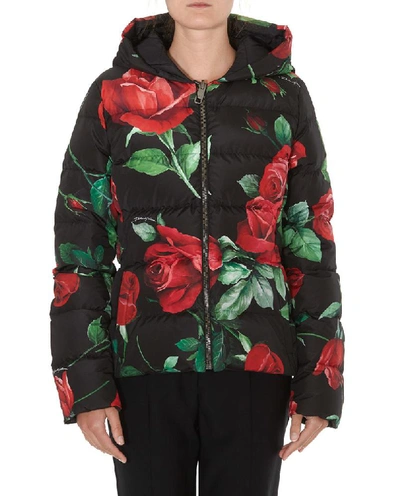 Shop Dolce & Gabbana Floral Padded Jacket In Multi