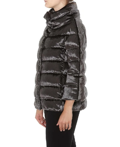 Shop Herno Velvet Effect Down Jacket In Grey