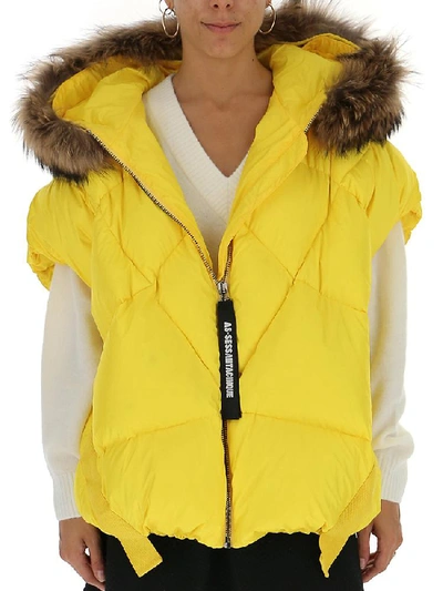 Shop As65 Padded Fur Trimmed Short In Yellow