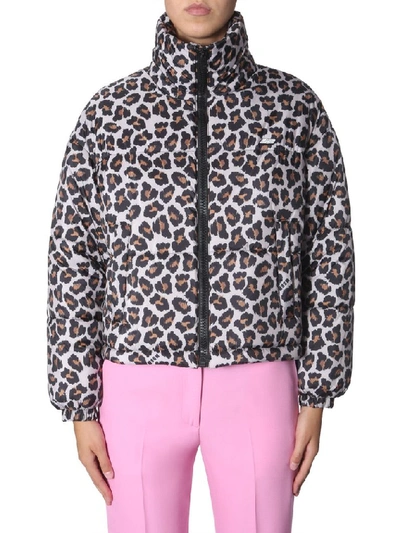 Shop Msgm Leopard Print Down Jacket In Multi