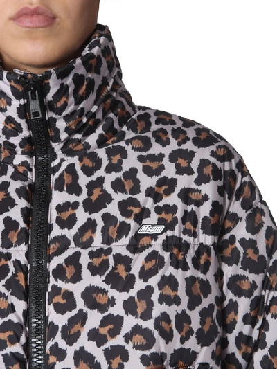 Shop Msgm Leopard Print Down Jacket In Multi