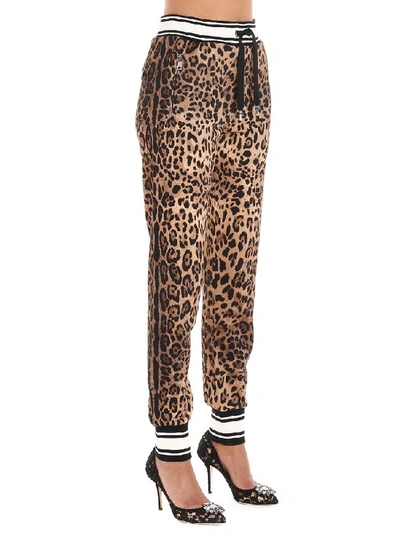 Shop Dolce & Gabbana Animalier Print Sweatpants In Multi