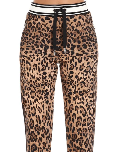 Shop Dolce & Gabbana Animalier Print Sweatpants In Multi