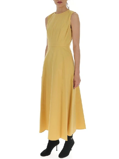 Shop Theory Flared Midi Dress In Yellow