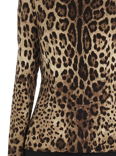 Shop Dolce & Gabbana Leopard Print Roll Neck Top In Multi