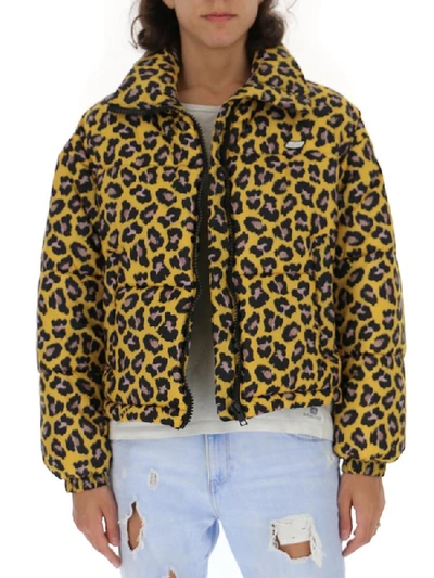 Shop Msgm Leopard Print Down Jacket In Multi