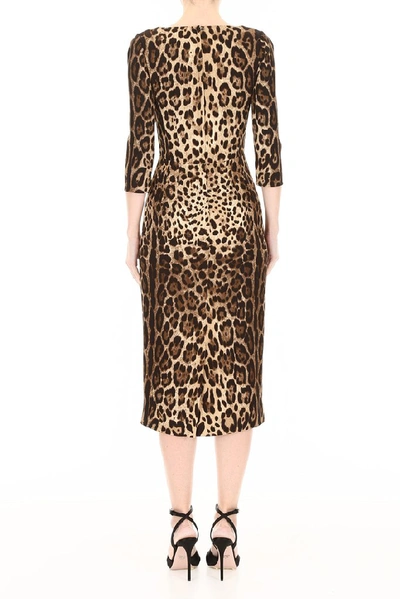 Shop Dolce & Gabbana Leopard Print Dress In Multi