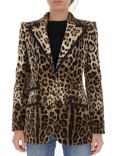 Shop Dolce & Gabbana Leopard Print Single In Multi
