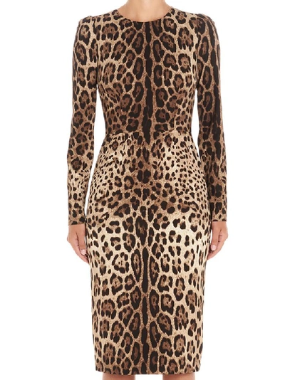 Shop Dolce & Gabbana Leopard Print Bodycon Dress In Multi