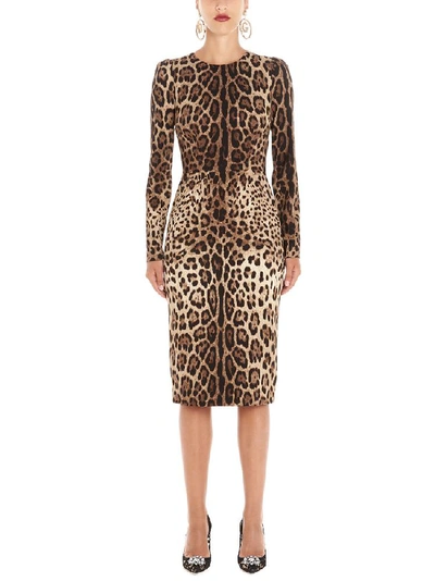 Shop Dolce & Gabbana Leopard Print Bodycon Dress In Multi