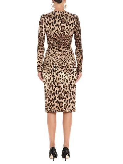 Shop Dolce & Gabbana Leopard Print Bodycon Dress In Multi