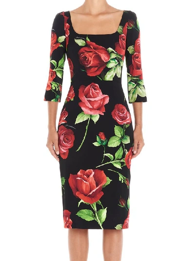 Shop Dolce & Gabbana Rose Printed Fitted Dress In Multi