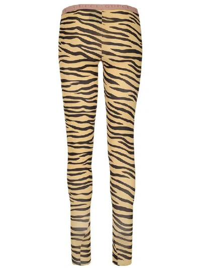 Shop Gucci Animalier Leggings In Multi