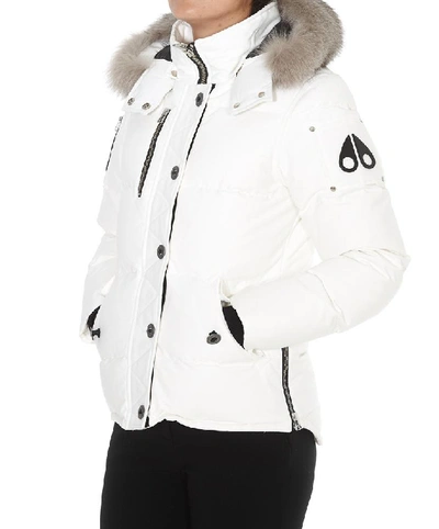 Shop Moose Knuckles 3q Coat In White