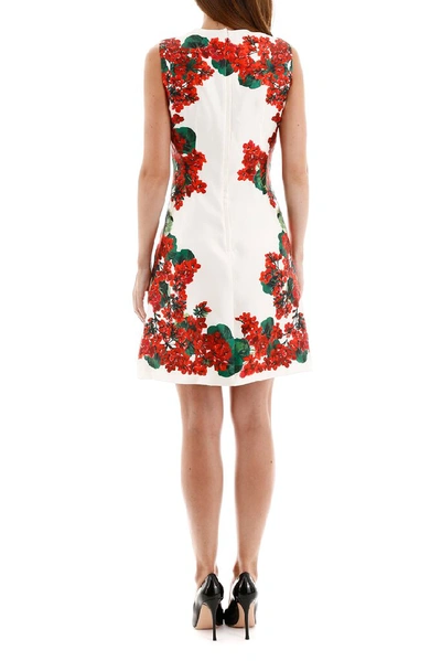 Shop Dolce & Gabbana Portofino Print Shift Dress In Multi