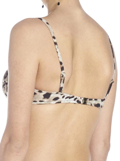 Shop Dolce & Gabbana Leopard Print Bikini Top In Multi