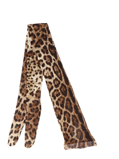 Shop Dolce & Gabbana Leopard Printed Tights In Multi