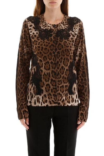 Shop Dolce & Gabbana Leopard Lace Insert Cardigan In Multi