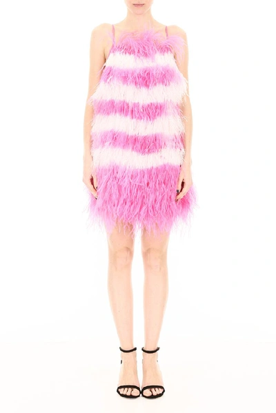 Shop Msgm Feather Detail Mini Dress In Pink