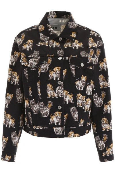 Shop Msgm Cat Print Jacket In Multi
