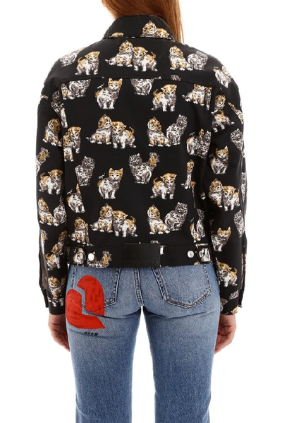 Shop Msgm Cat Print Jacket In Multi