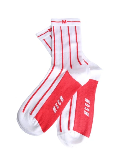 Shop Msgm Stripe Logo Socks In Red