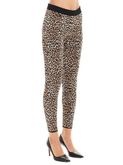 Michael Michael Kors Leopard Print Mid Rise Leggings In Multicolor |  ModeSens