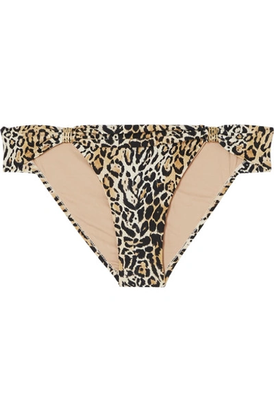Shop Melissa Odabash Grenada Embellished Leopard-print Bikini Briefs In Leopard Print