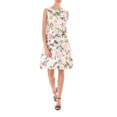 Shop Dolce & Gabbana Floral Printed Shift Dress In Pink