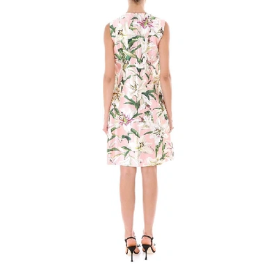 Shop Dolce & Gabbana Floral Printed Shift Dress In Pink