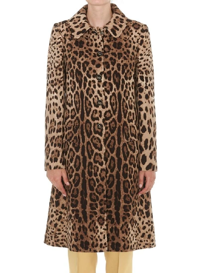 Shop Dolce & Gabbana Leopard Print Single Breasted Coat In Multi